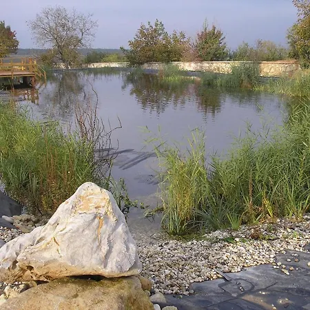 Bakony Panzio فندق مبيت وإفطار 3*