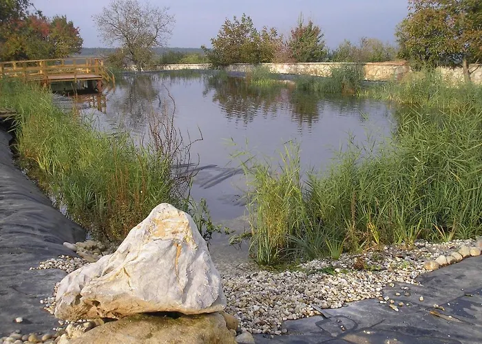 Bakony Panzio Отель типа 